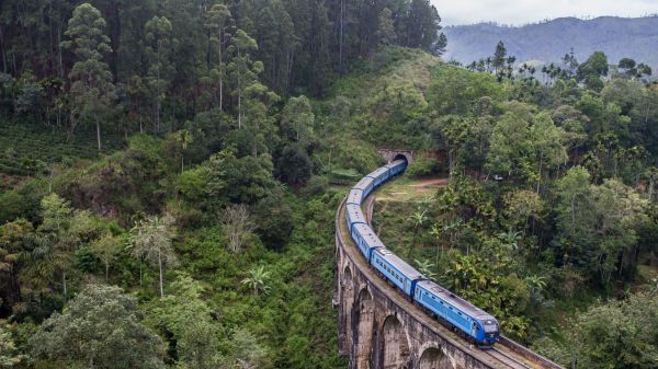 plant,tree,vehicle,sky,mountain,train