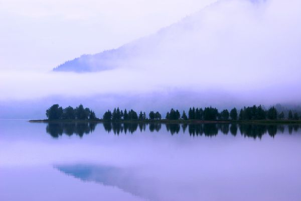 Árboles, paisaje, lago, agua, naturaleza, montañas