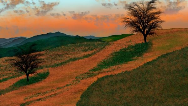 Wolke,Himmel,Pflanze,plant community,Ecoregion,Baum