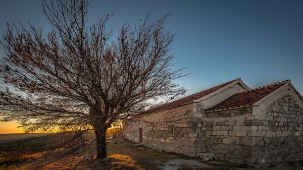 sunlight, trees, landscape, lights, colorful, old