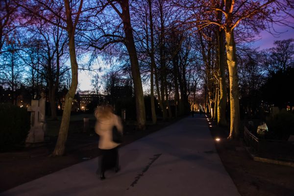 Stadt,Natur,Sonnenlicht,Sonnenuntergang,Nacht-,Himmel