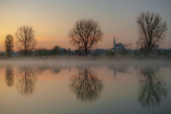 дървета,размисъл,дърво,природа,канон,река