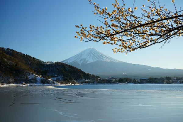 Fuji Mountain,Japon,Mont Fuji,la nature