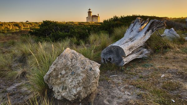 phare,paysage,la photographie,Bandon Beach Oregon,herbe,le coucher du soleil