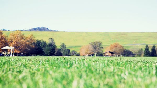 paisaje,césped,campo,granja,estepa,pradera