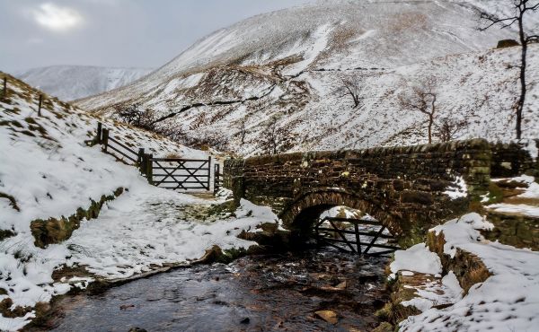 UK,nature,derbyshire,rural,British,countryside