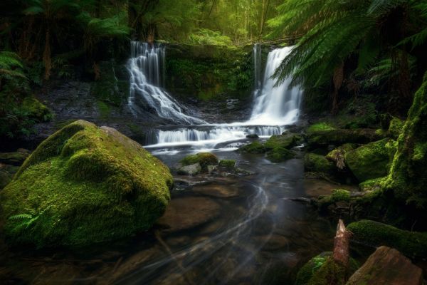 air,sumber air,menanam,ekoregion,Natural landscape,fluvial landforms of streams