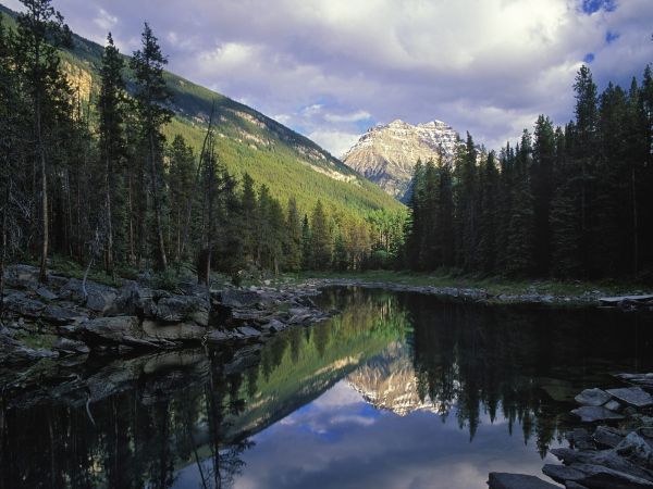 slnečnému žiareniu,krajina,les,hory,jazero,voda