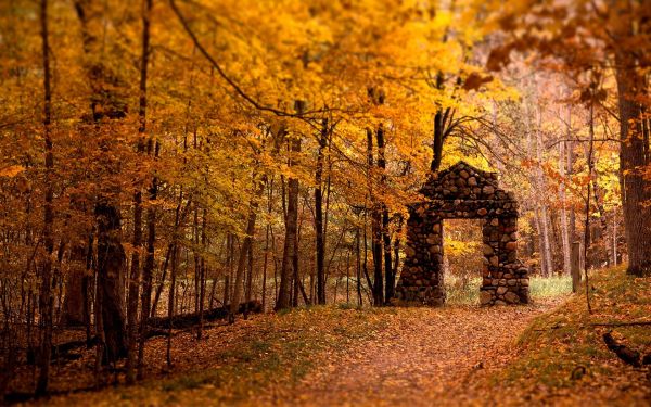 fall,leaves,ruins