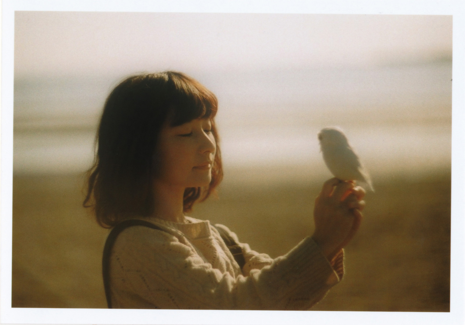 puesta de sol, mar, mujer, luz de sol, color, ART, película, niña, Japón, Rollei, cosa análoga, Canon, película, impresión, Eos, playa, Atención, Bokeh, duna, 85mm, poético, M42, Escaneado, Mf, manual, Potrait, E6, 402, litoral, Eosina, Helios, F15, inversión, Helios402, 8515, Cr200, 85mmf15, Digibase