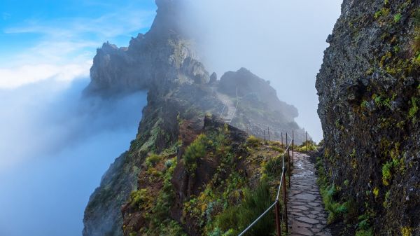 自然,風景,雲,空,歩道,階段