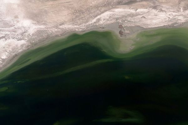 Ziemia, Zdjęcie satelitarne, widok z lotu ptaka, widok z góry, Google Earth Aerial View, earthview