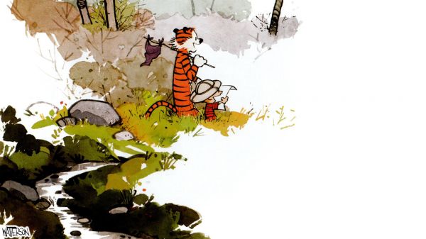 illustration, tegneserie, tegneserier, Calvin og Hobbes, insekt, udforskning