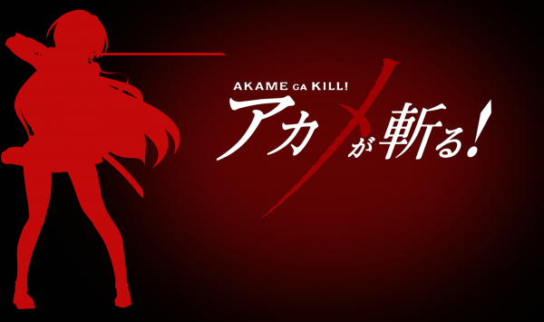 anime,Akame ga zabít,Akame