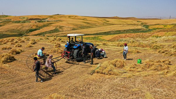 agricultores,natureza,Tratores,pessoas,trabalhos,Peru