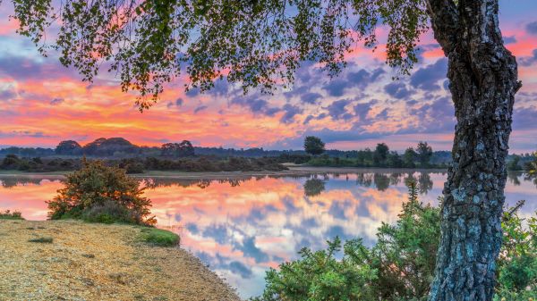 príroda,krajina