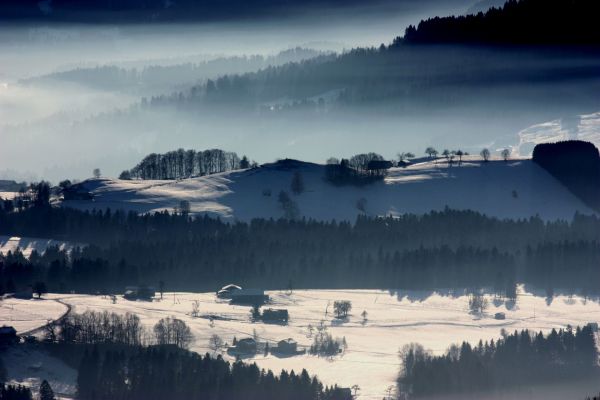 Boże Narodzenie,Schnee,zimowy,zamglenie,śnieg,Berg