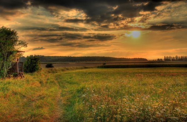 luz de sol,paisaje,puesta de sol,colina,naturaleza,césped