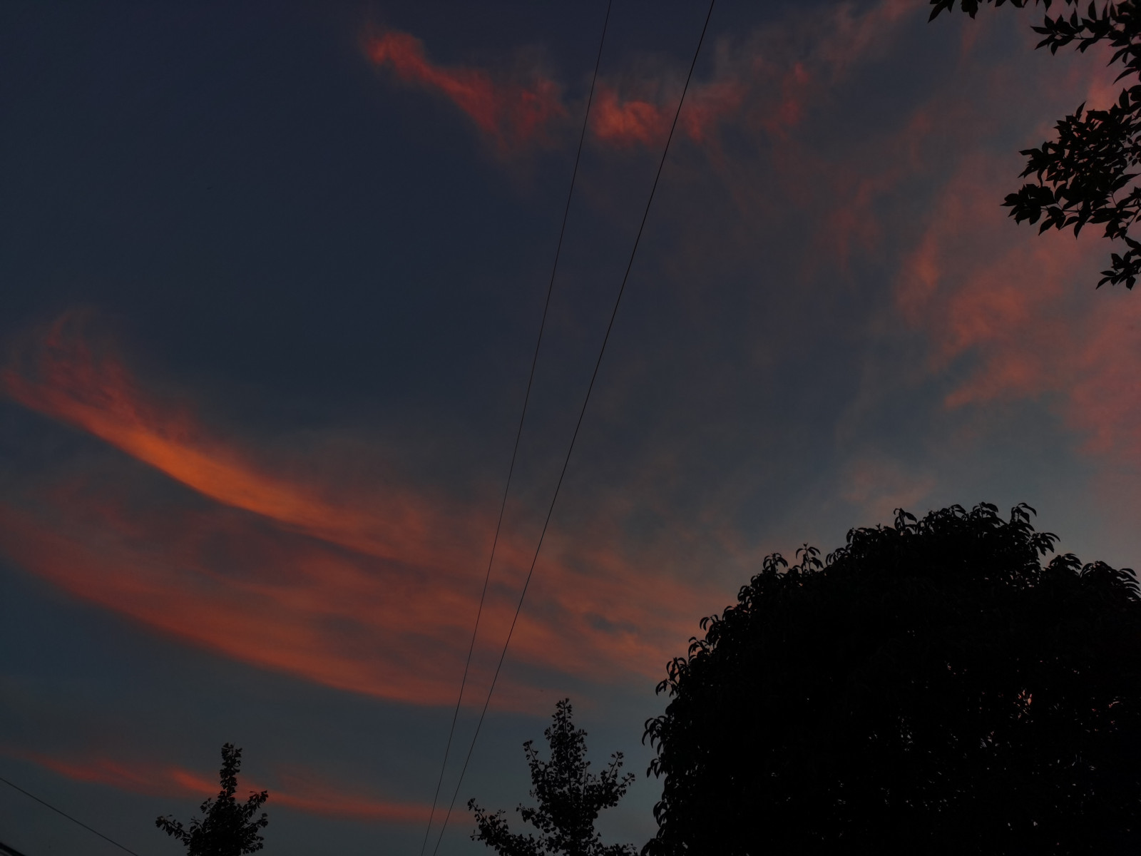 σύννεφο, ουρανός, ατμόσφαιρα, υστερόλαμπη, Natural landscape, κλαδί, σούρουπο, πορτοκάλι, η δυση του ηλιου, κόκκινο ουρανό το πρωί, ηλιακό φως, Ανατολή ηλίου, δέντρο, πυκνό σύννεφο, ατμοσφαιρική φαινόμενο, κλαδάκι, ορίζοντας, ηλεκτρική ενέργεια, τοπίο, εναέρια γραμμή ισχύος, φυτό, αυγή, ηρεμία, Tints and shades, σκοτάδι, θερμότητα, Εκδήλωση, μετεωρολογικό φαινόμενο, απόγευμα, ουράνια εκδήλωση, μπλε ελεκτρίκ, σύρμα, Νύχτα, χειμώνας, public utility, σιλουέτα, παροχή ηλεκτρικού ρεύματος, Ήλιος, Οπίσθιο φωτισμό, πόλη, δάσος