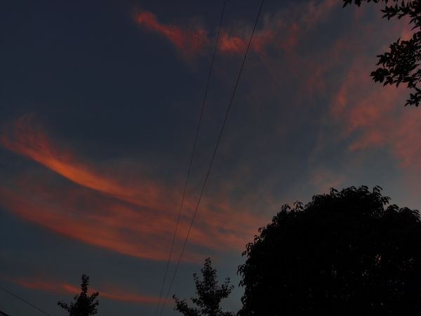 雲,空,雰囲気,残光,Natural landscape,ブランチ