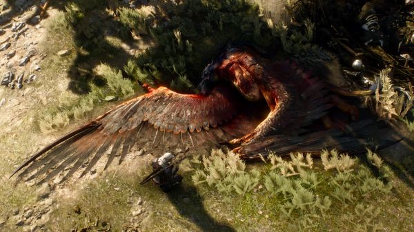 videogiochi,The Witcher 3 Caccia Selvaggia