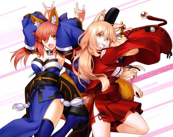 illustratie,anime,dierlijke oren,spotprent,Fate Series,Fate Extra