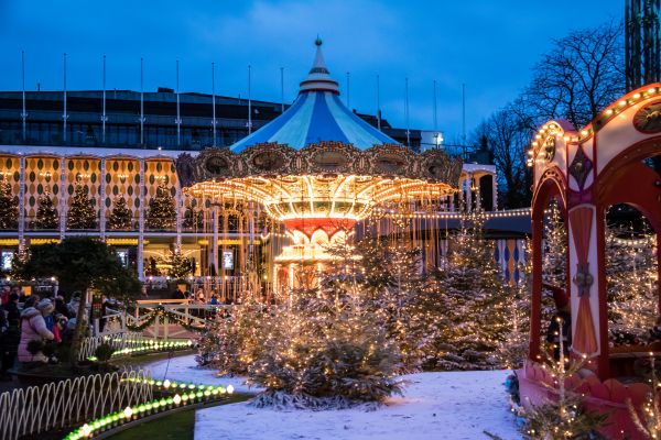 nacht,Kerstmis-,Denemarken,park,toevlucht,kerstlichten