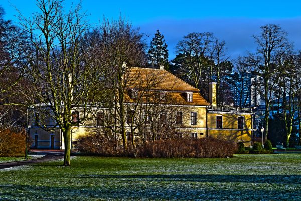 trees, garden, building, grass, house, sky