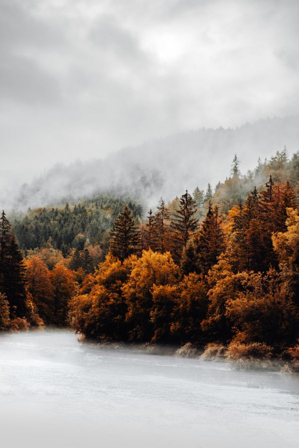 đám mây,Bầu trời,thực vật,núi,Natural landscape,Cây sồi