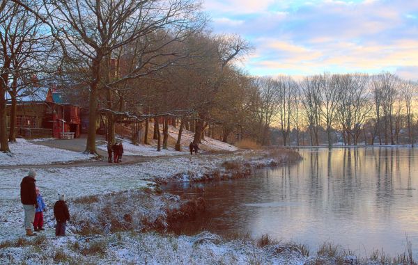 Danmark,Dyrehaven,inverno,Copenhague,Nikon,Gentofte