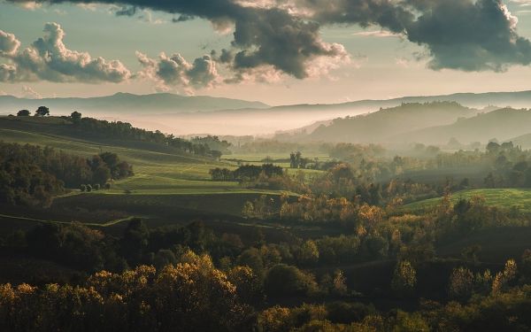 slunečnímu záření, stromy, krajina, les, podzim, hory