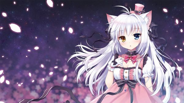 Nekomimi, pelo blanco, Anime, Chicas anime, niña Gata, ilustración