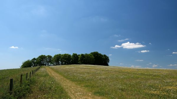 σύννεφο, ουρανός, φυτό, Natural landscape, γρασίδι, δέντρο