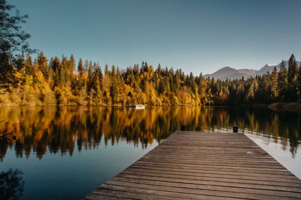 Skov,vand,bjerge,natur,mole