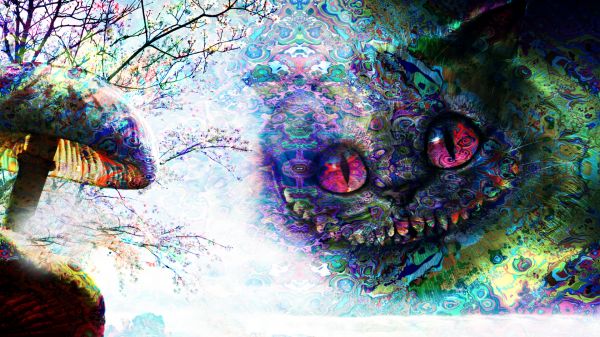 Alice in Wonderland,Cheshire Cat,psychedelische,trippy,paddestoel