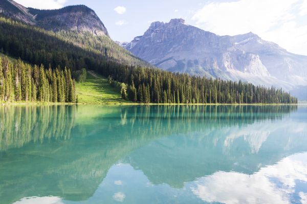 山,景观,树木,lake peyto