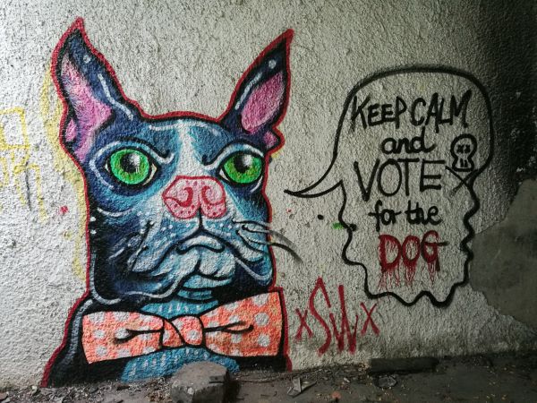 Urban,hund,graffiti,skitt