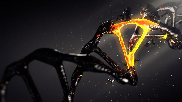 DNA,3D