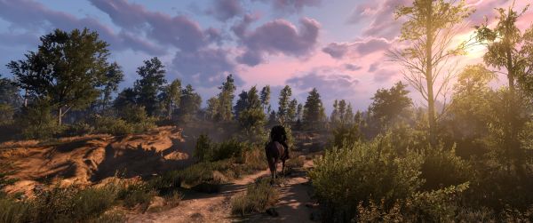 videogiochi,The Witcher 3 Caccia Selvaggia,Geralt di Rivia