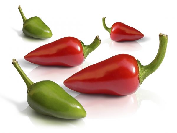 peppers,produce,food,vegetables,capsicum,plant