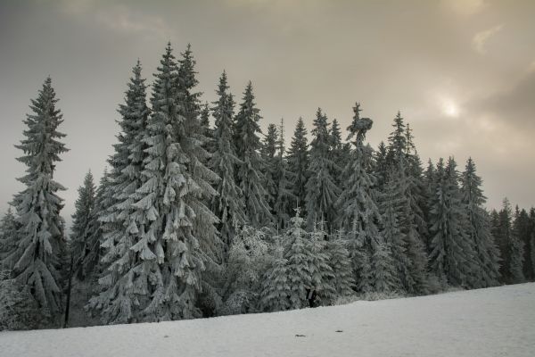 zimné, zimné prázdniny, Winterferien, Zakopane, tatry, tatry