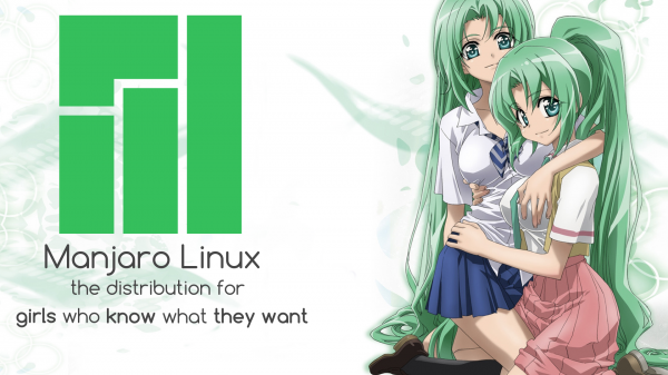 Linux,os tan,Manjaro,păr verde,text