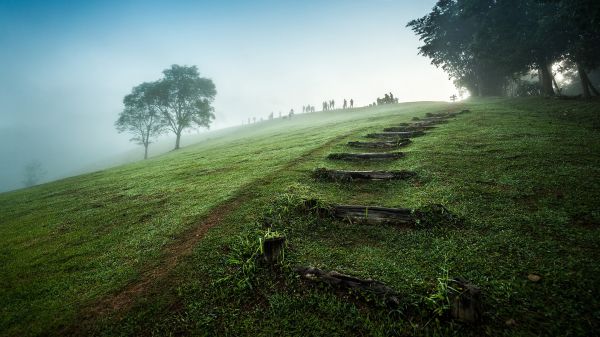 la nature,paysage,herbe,ciel,brouillard,escaliers