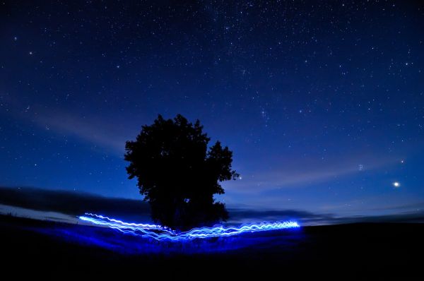 bleu,ciel,Mars,peinture claire,arbre,la nature