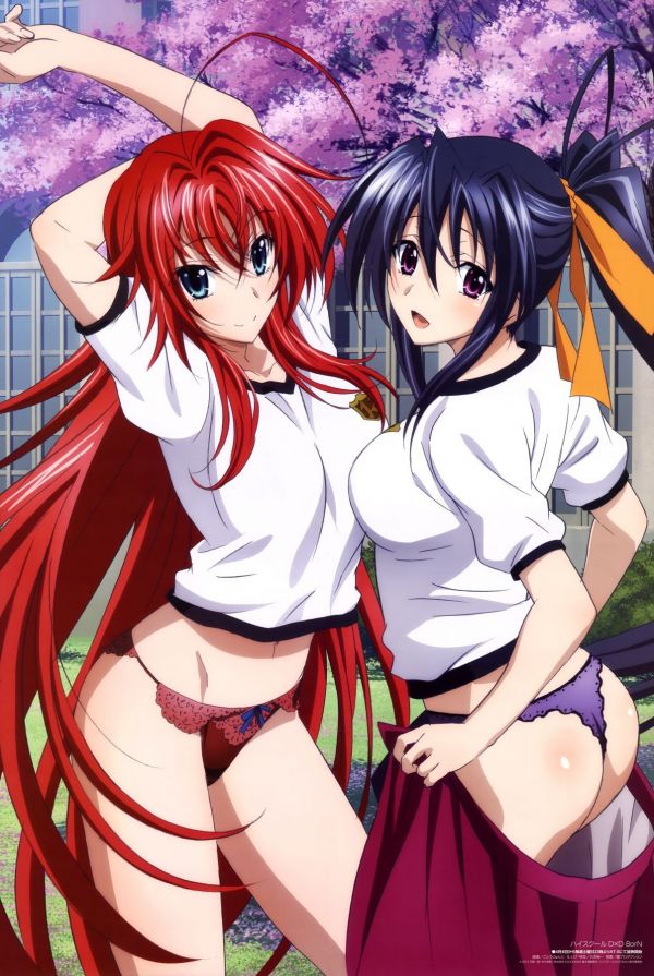 illustrasjon,anime,kunstverk,tegnefilm,Gremory Rias,High School DxD