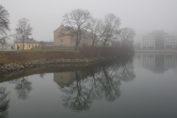 acqua,riflessione,la neve,inverno,mattina,nebbia