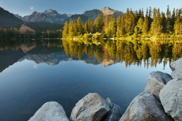 Árboles,paisaje,bosque,lago,agua,rock