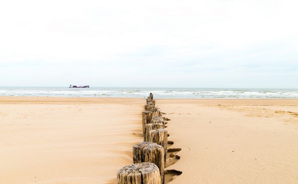 mar,apuntalar,arena,playa,bahía,costa