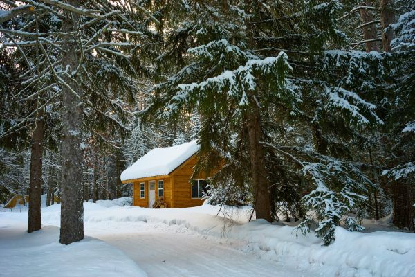 gebouw,sneeuw,venster,natuur,huis,fabriek