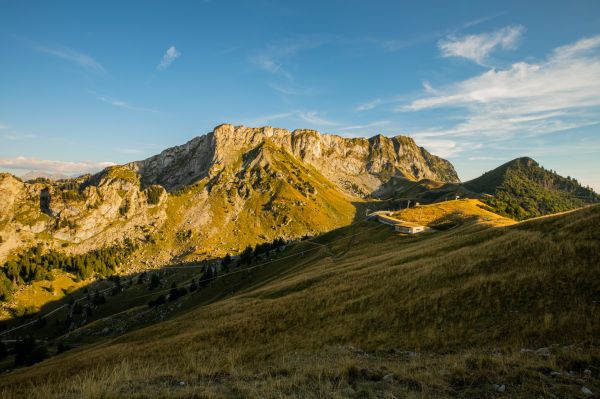 fotografia, na dworze, krajobraz, zieleń, Góry, trawa